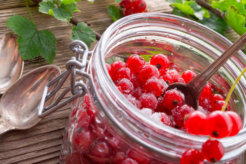 Super Terrine Clip Top Jar 350gm
